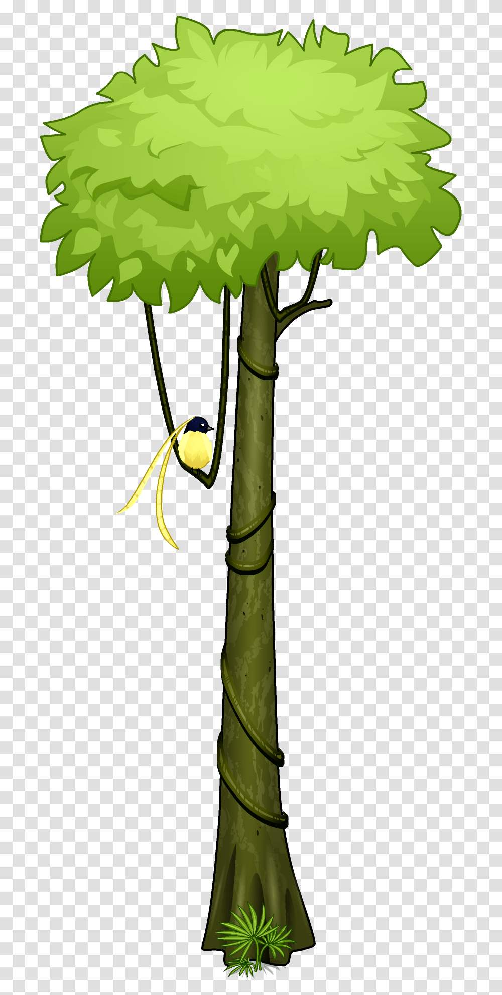 V Tropical Rainforest Trees Drawing, Plant, Bamboo, Flower, Blossom Transparent Png