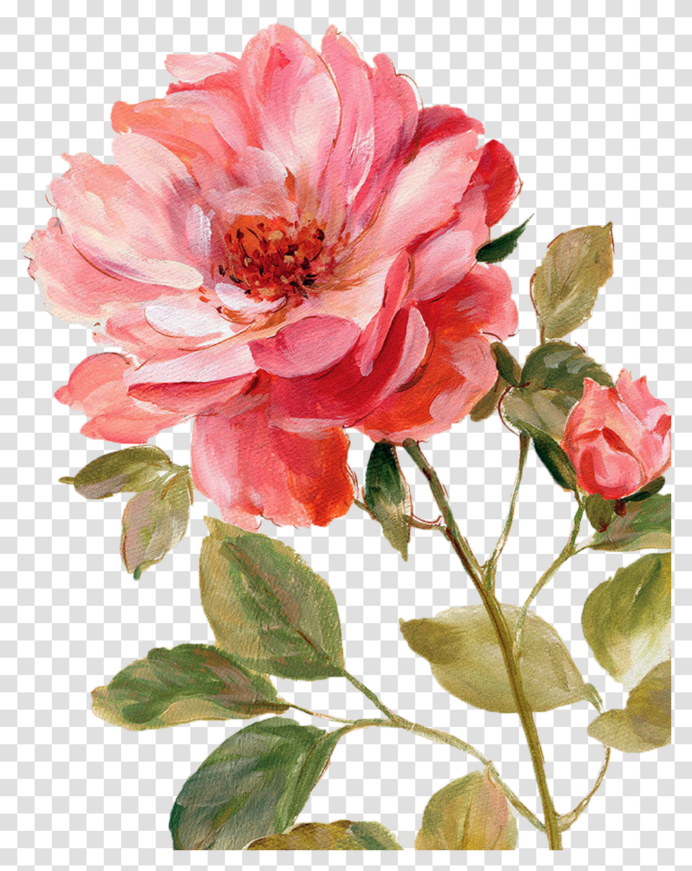 V25 Picture Painted Flowers Ew 65 Lisa Audit Painting, Plant, Petal, Rose, Peony Transparent Png