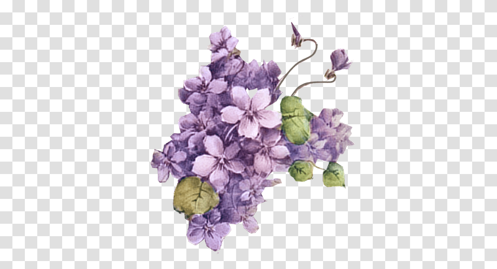 V73 Backgrounds 3d Purple Flowers Bf 17 Lavender Flower Vintage, Plant, Blossom, Lilac Transparent Png