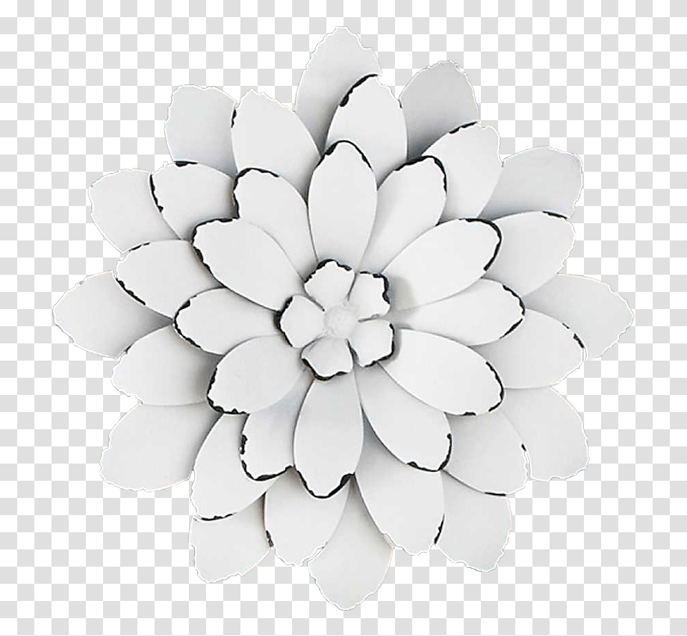 V79 Image 3d White Flowers 6917x2467 P Widescreen Badshahi Mosque, Texture, Plant, Blossom, Lamp Transparent Png