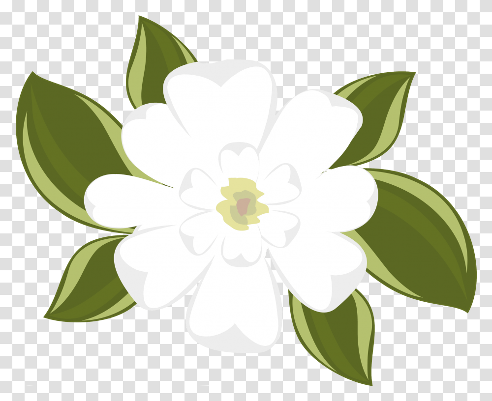 V85 Wallpaper Magnolia White Pixel > 2800x2254 Magnolia Clipart, Plant, Anemone, Flower, Petal Transparent Png