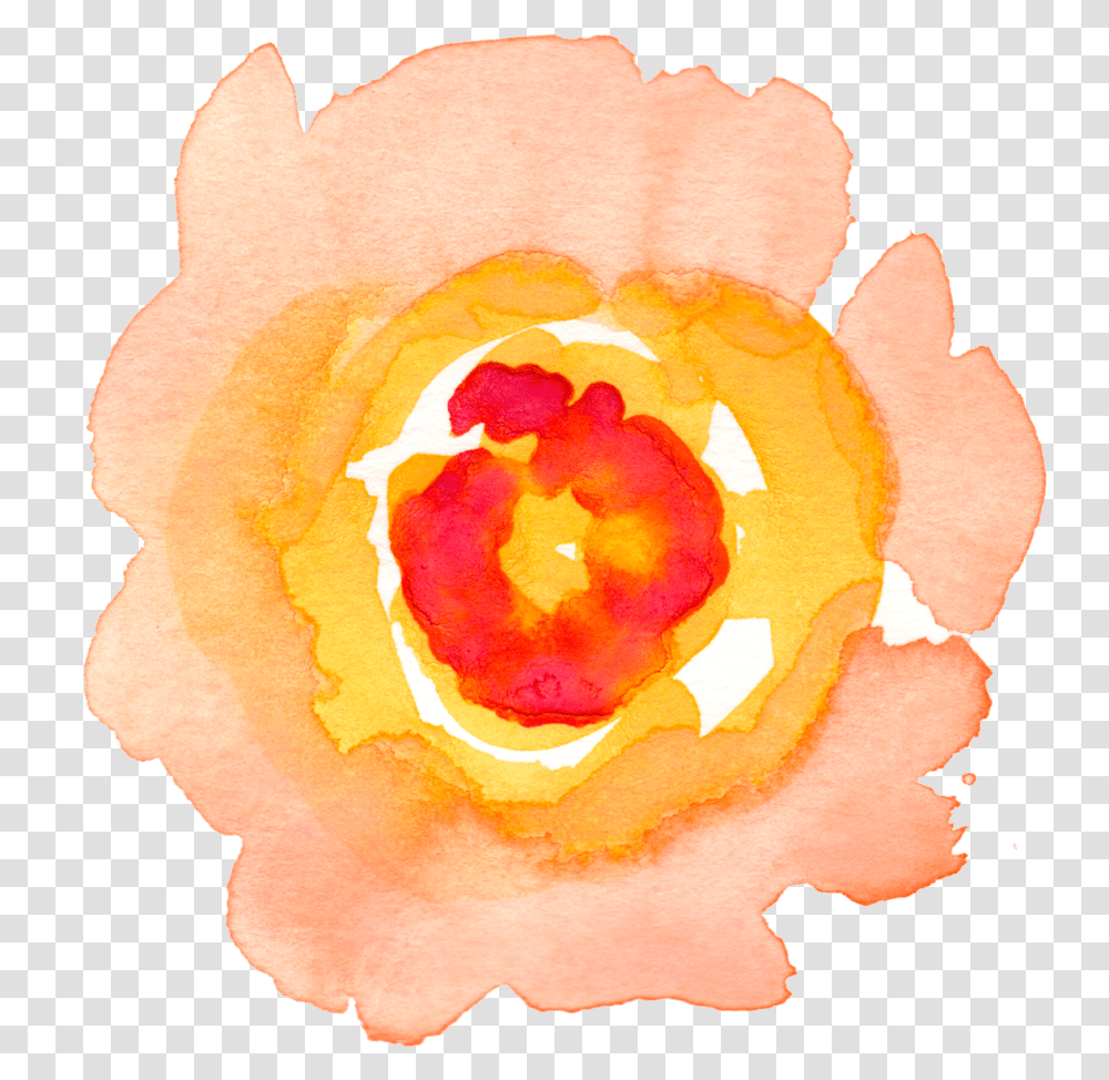 V95 Background Rec Mob Orange In Water Flowers, Rose, Plant, Blossom, Peel Transparent Png