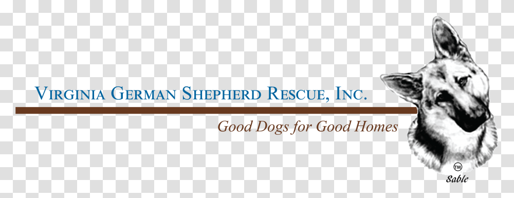 Va German Shepherd Rescue, Dog, Animal, Alphabet Transparent Png
