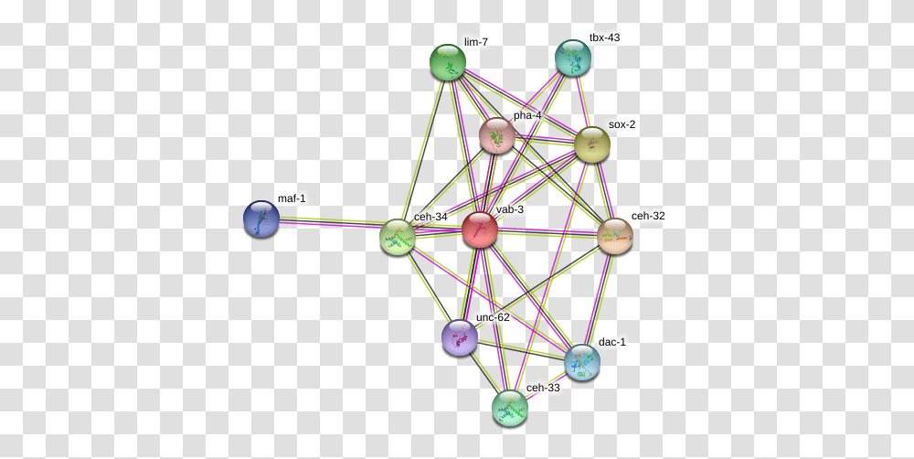 Vab 3 Protein Circle, Network, Building, Sphere, Diagram Transparent Png