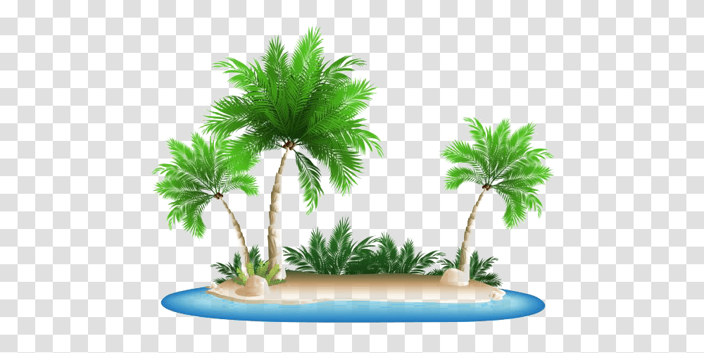 Vacation Beach Image Background Beach Palm Trees, Plant, Arecaceae, Rainforest, Vegetation Transparent Png