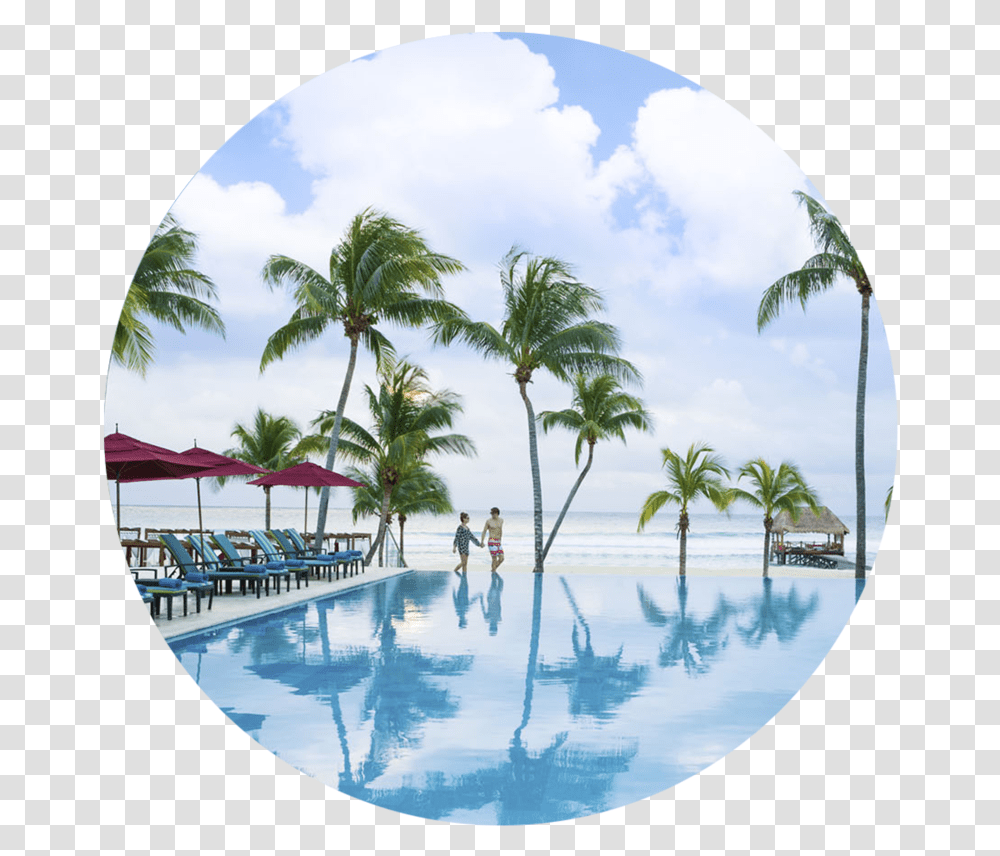 Vacation Icon Fives Beach Hotel Amp Residences, Summer, Person, Tropical, Tree Transparent Png