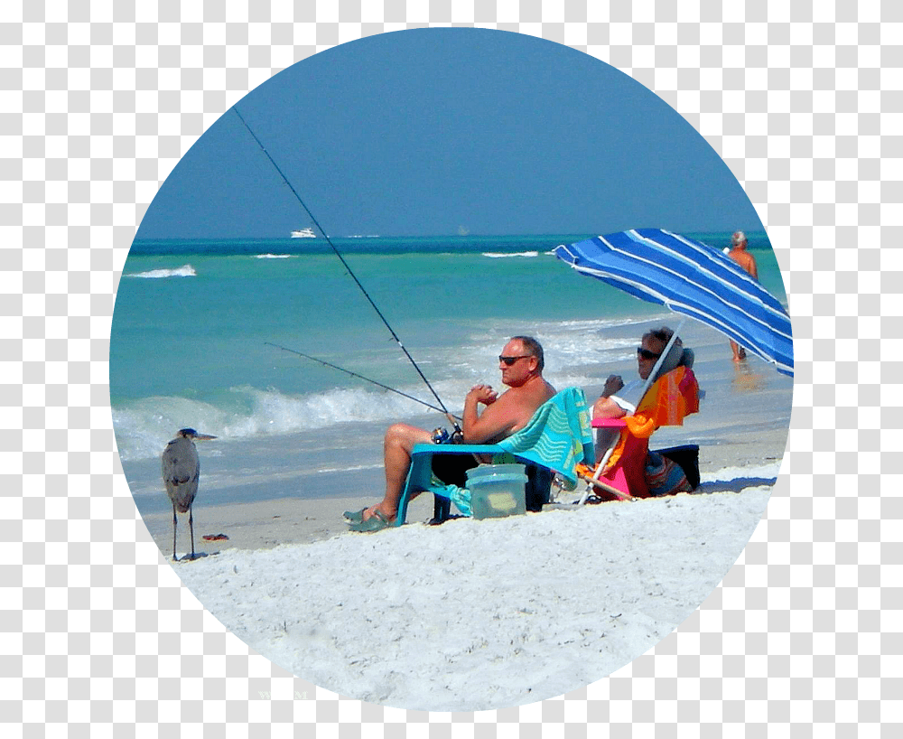 Vacation, Person, Bird, Water, Outdoors Transparent Png