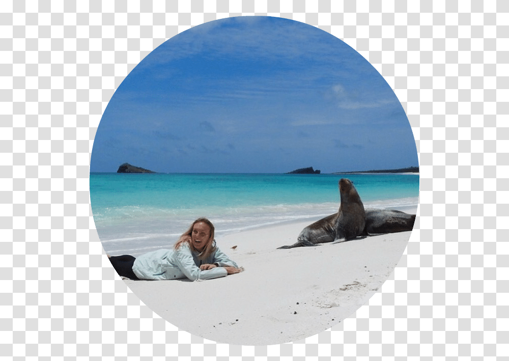 Vacation, Person, Human, Sea Lion, Mammal Transparent Png