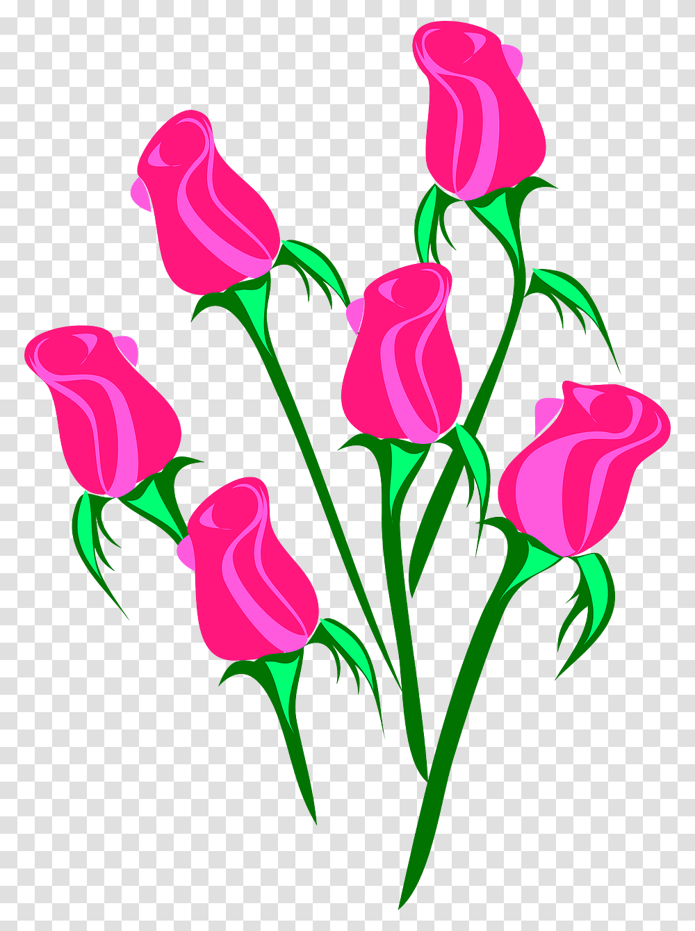 Vacation Roses Bud Bouquet Pink Flowers, Plant, Blossom, Petal, Tulip Transparent Png