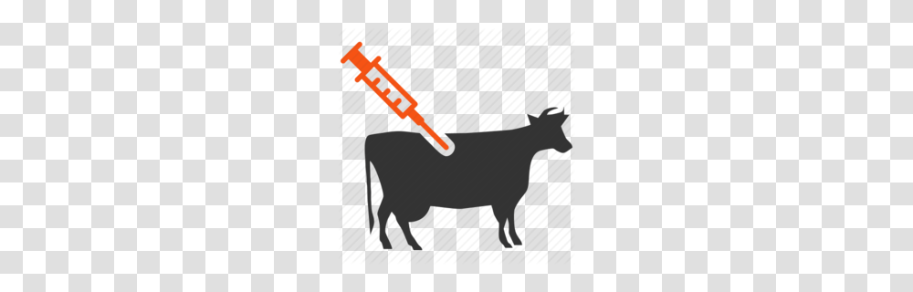 Vaccine Clipart, Animal, Mammal, Donkey Transparent Png