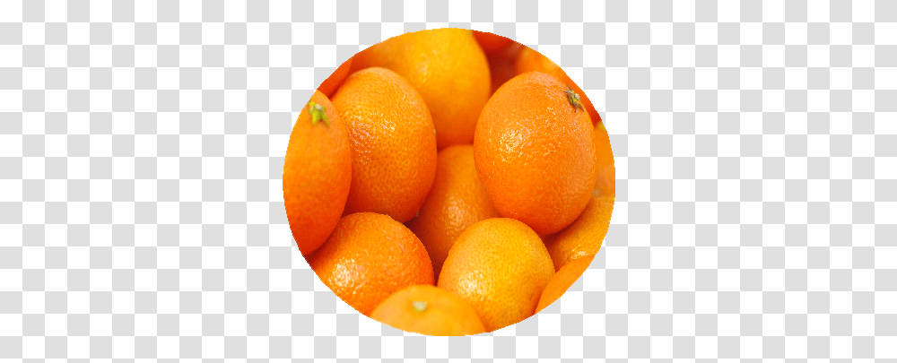 Valencia Oranges Mandarin Orange, Citrus Fruit, Plant, Food, Bowl Transparent Png