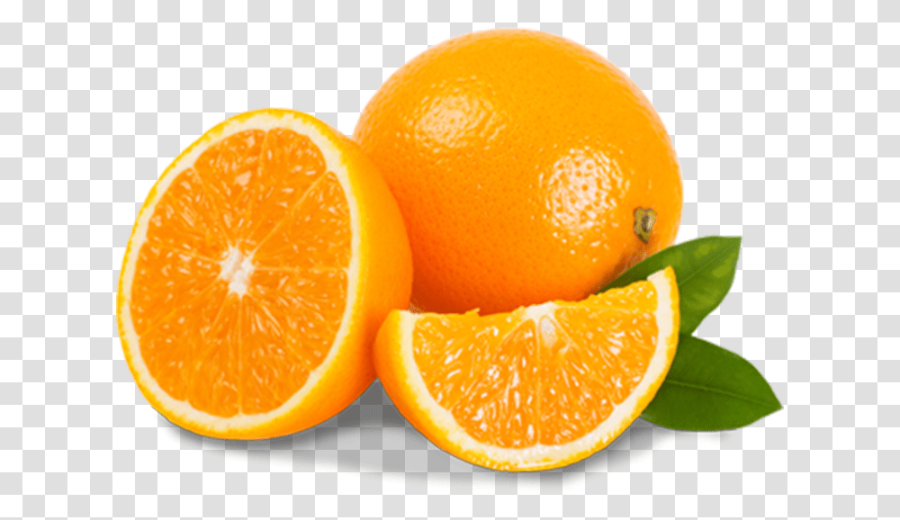 Valencia Oranges, Plant, Citrus Fruit, Food, Lemon Transparent Png
