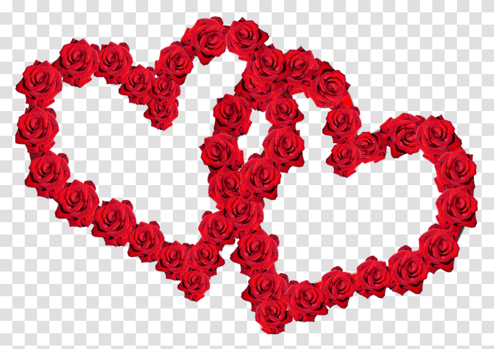 Valentim Rosas Vermelhas Romance Rosen Herz, Floral Design, Pattern Transparent Png