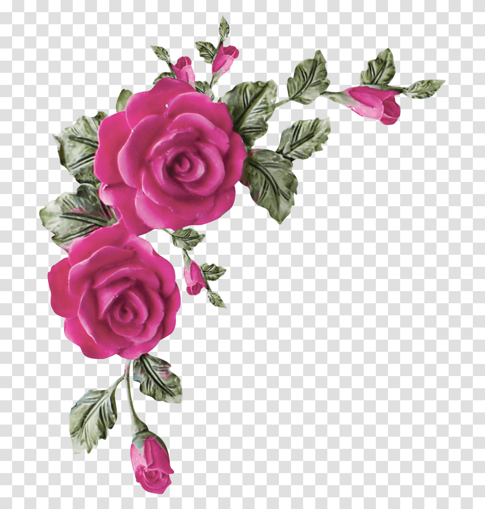 Valentina Touchofroses El76 Pink Rose Corner Border Design, Plant, Flower, Blossom, Flower Bouquet Transparent Png