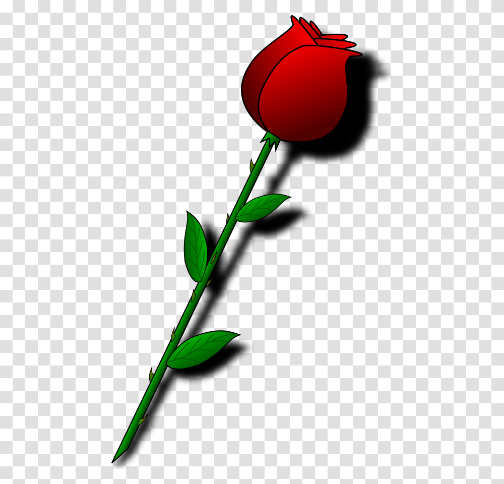 Valentine Flowers Clip Art Valentine's Day Roses Clipart, Plant, Blossom, Petal Transparent Png