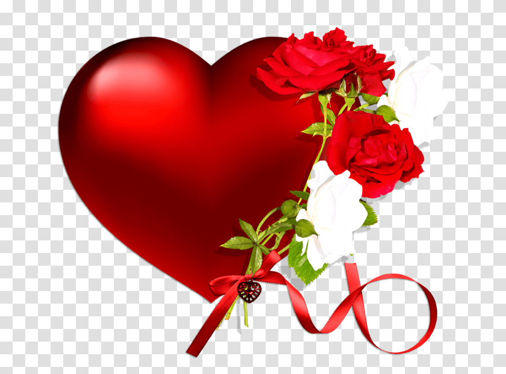 Valentine Red Rose Pictures And Clipart Red Heart Of Love, Plant, Flower, Blossom, Graphics Transparent Png