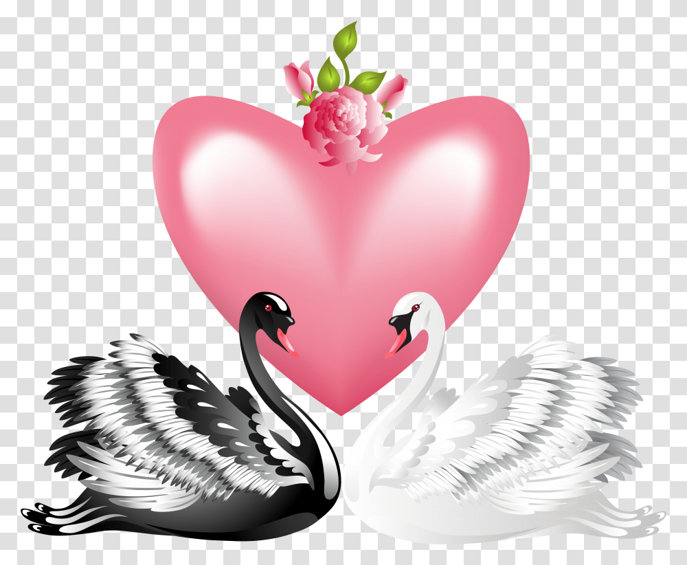Valentine's Day Love Swans Clip Art Black Swan And White Swan Art, Bird, Animal, Flower, Plant Transparent Png