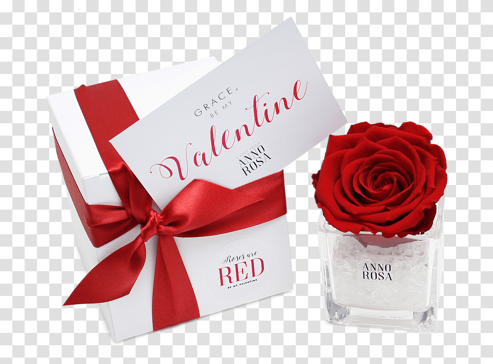 Valentine Single Roses, Flower, Plant, Blossom, Gift Transparent Png