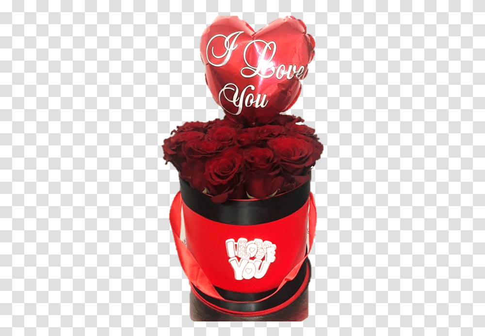 Valentine Single Roses, Plant, Flower, Blossom, Petal Transparent Png