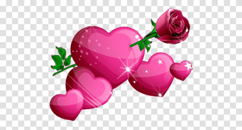 Valentines Amor Corazones, Plant, Rose, Flower, Blossom Transparent Png