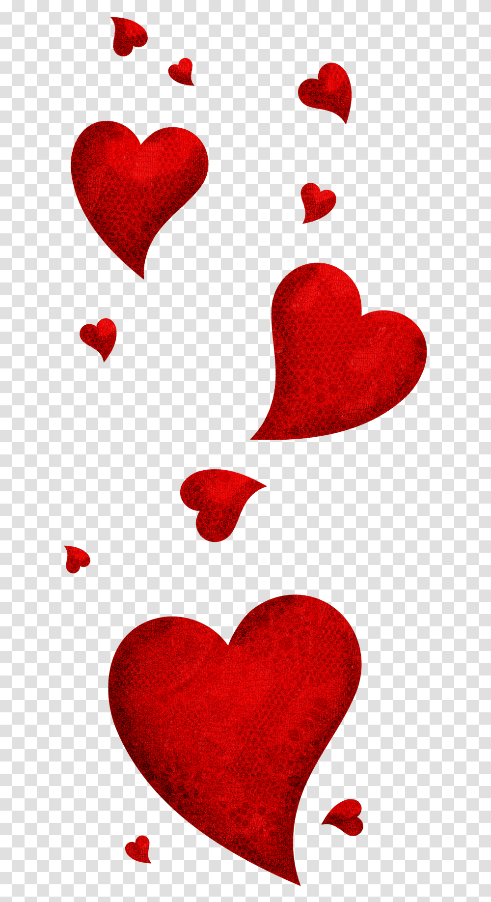 Valentines Day 14 February, Heart, Plant, Petal, Flower Transparent Png