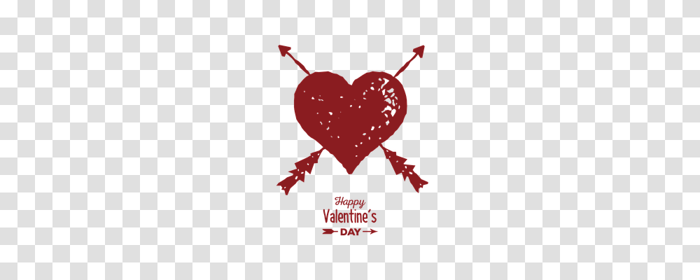 Valentines Day Holiday, Animal, Cupid, Invertebrate Transparent Png