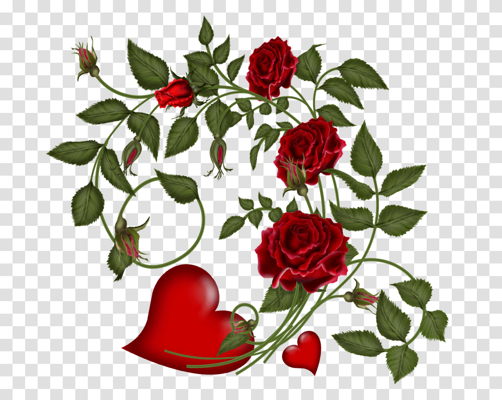 Valentines Day Flowers Vector, Plant, Rose, Blossom Transparent Png