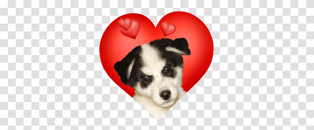 Valentines Day Hearts Valentine Graphics Day, Dog, Pet, Canine, Animal Transparent Png