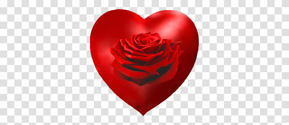Valentines Day Hearts Valentine Graphics Garden Roses, Flower, Plant, Blossom, Petal Transparent Png