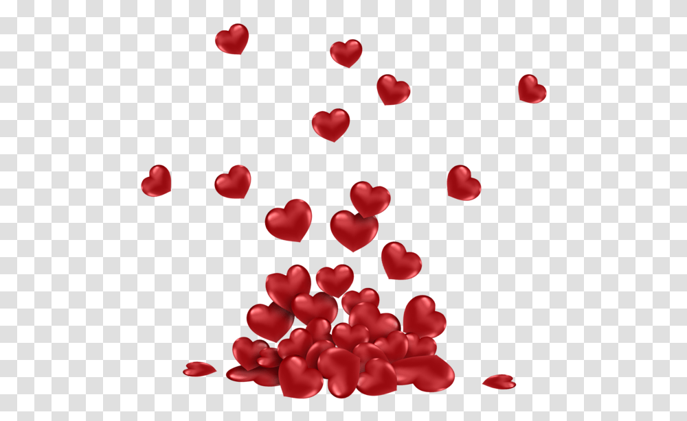 Valentines Day, Holiday, Petal, Flower, Plant Transparent Png