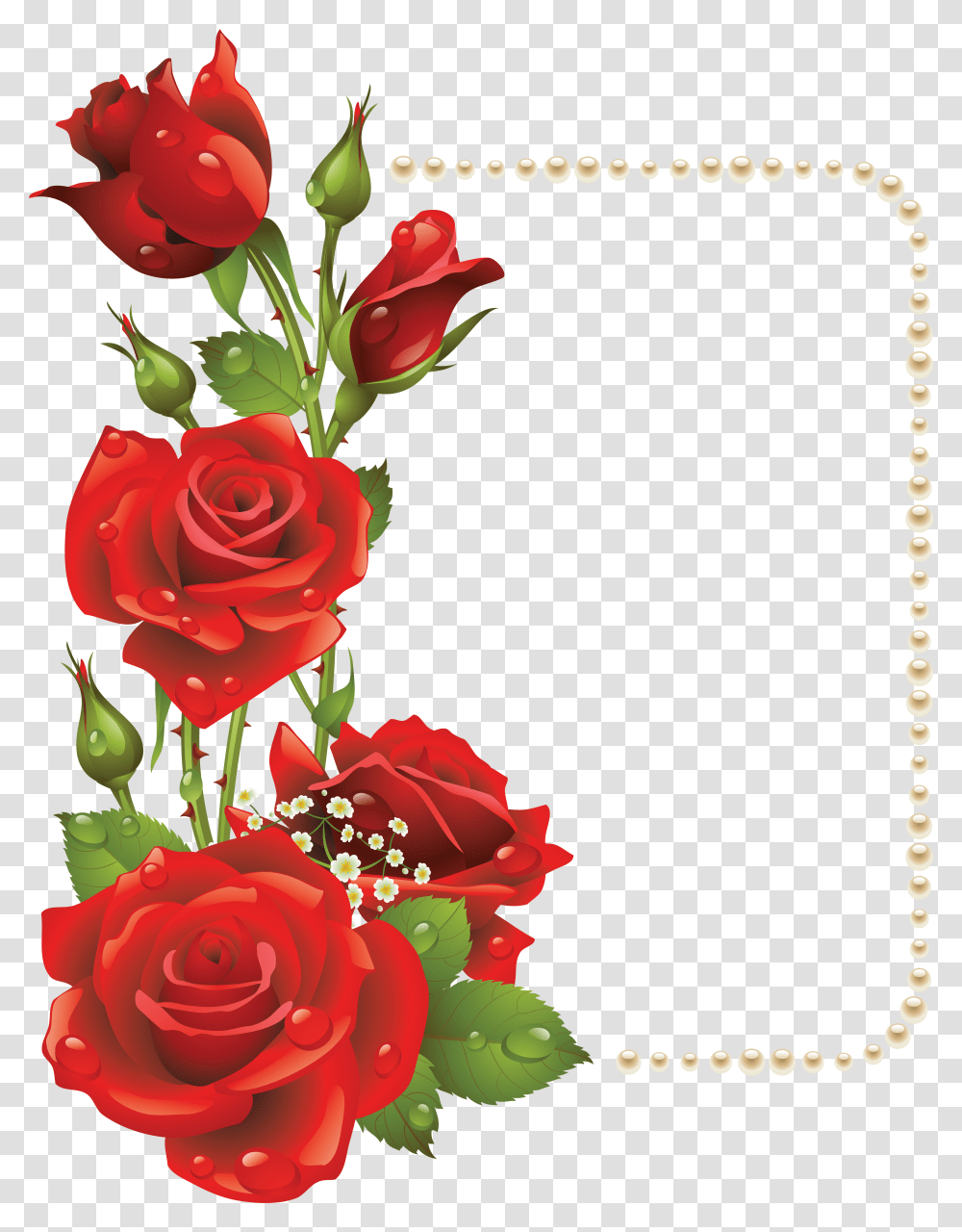 Valentines Day Roses Clipart Rose Flower Frames Design, Plant, Blossom, Graphics, Floral Design Transparent Png
