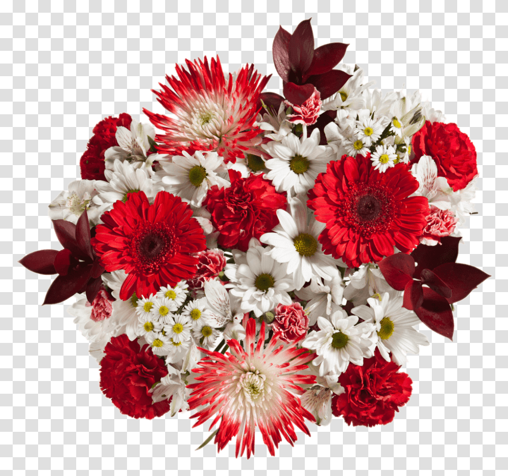 Valentines Flowers Red Carnations Spider Poms White Bouquet, Plant, Blossom, Flower Arrangement, Flower Bouquet Transparent Png
