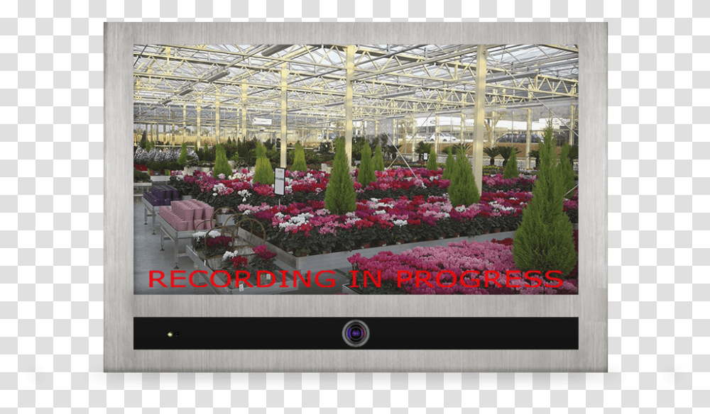 Valerian, Plant, Monitor, Screen, Electronics Transparent Png