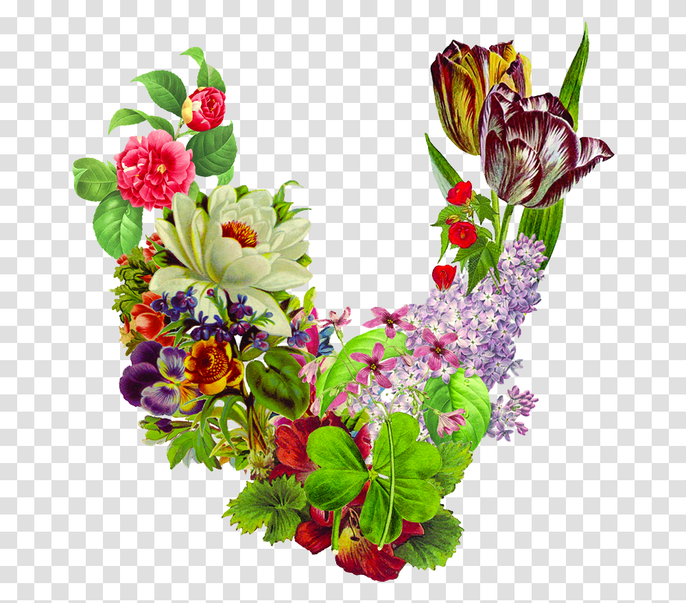 Valerie Julian Bouquet, Floral Design, Pattern Transparent Png