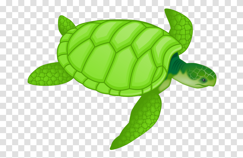 Valessiobrito Green Sea Turtle, Animals, Reptile, Sea Life, Tortoise Transparent Png