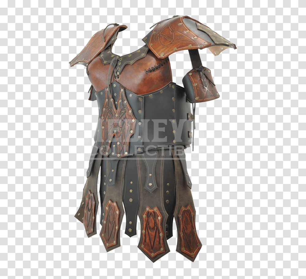Valkyries Armor, Person, Human, Chain Mail Transparent Png