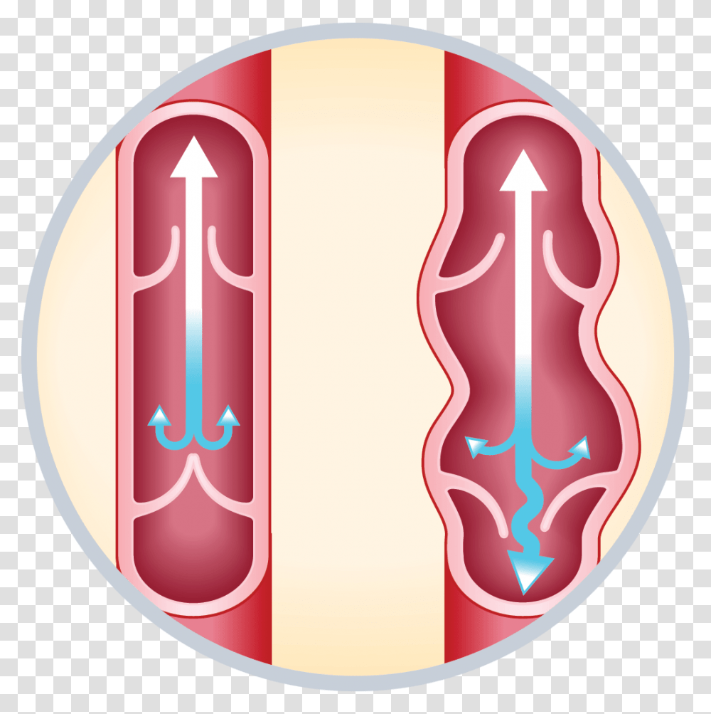 Valves In Veins Gif, Armor, Ketchup, Food, Shield Transparent Png