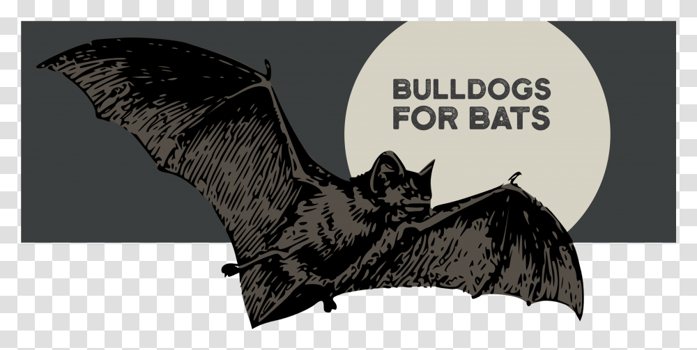 Vampire Bat, Animal, Eagle, Bird, Mammal Transparent Png