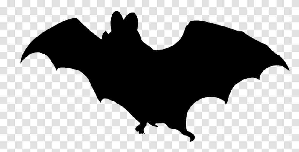 Vampire Bat Silhouette Bat White Background, Leaf, Animal, Logo Transparent Png