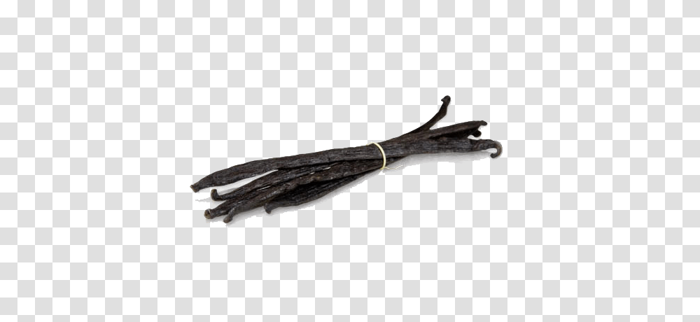 Vanilla Bean Hd, Wood, Coat Rack, Antler Transparent Png