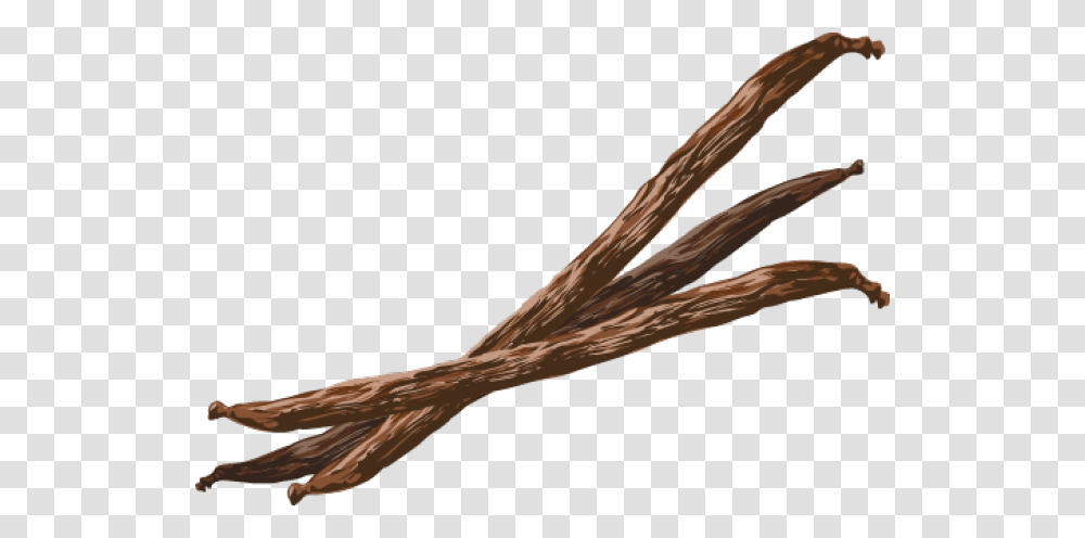 Vanilla Beans, Bird, Animal, Arrow Transparent Png