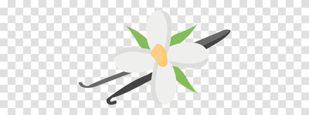 Vanilla Flower Icon Of Flat Style Vanilla Flower Icon, Plant, Petal, Blossom, Daisy Transparent Png