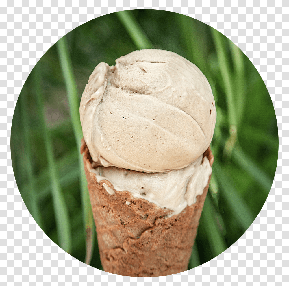 Vanilla Ice Cream Download Soy Ice Cream, Dessert, Food, Creme, Fungus Transparent Png