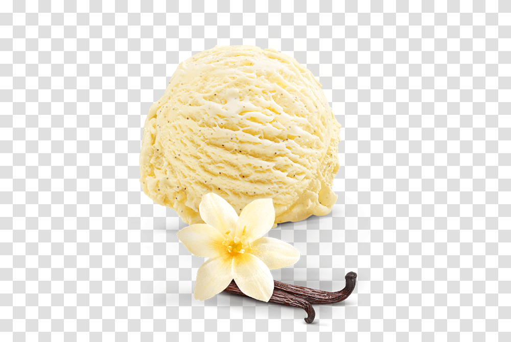 Vanilla Ice Cream Pic All Artificial Flower, Dessert, Food, Creme, Plant Transparent Png