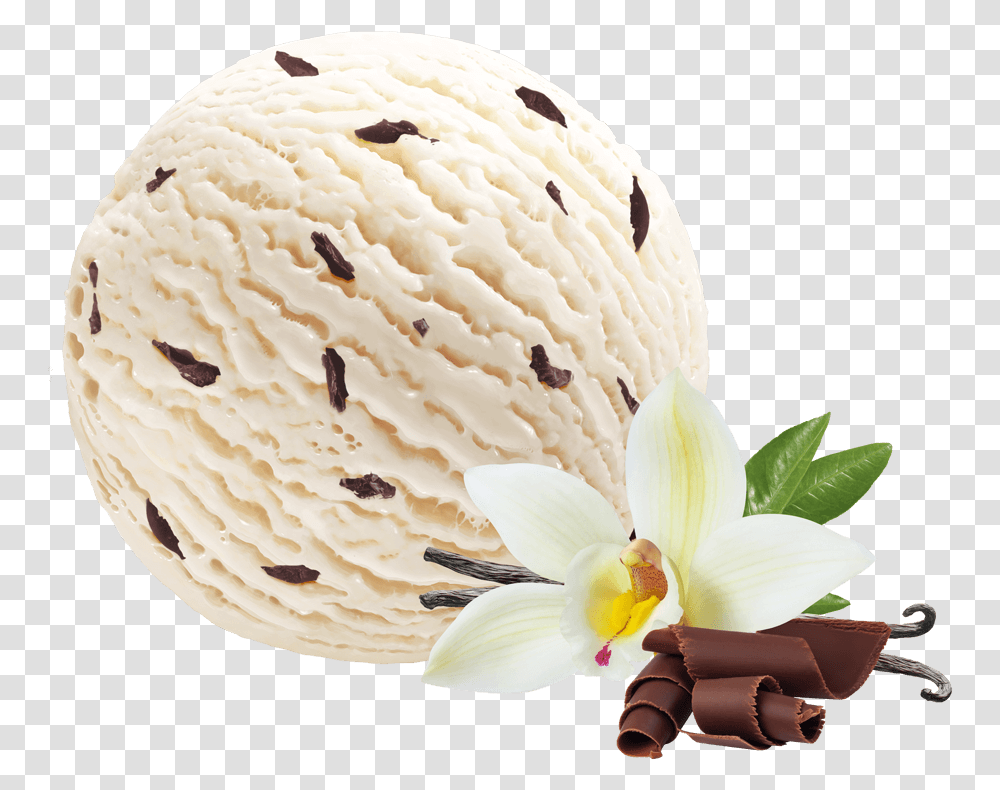 Vanilla Ice Cream With Chocolate Chips Vanilla Ice Cream With Choc Chips, Dessert, Food, Creme, Fungus Transparent Png