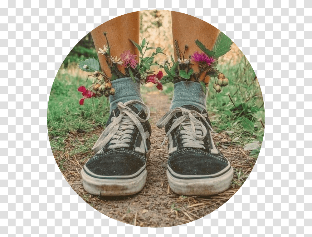 Vans Vansofthewall Vansoffthewall Shoes Icon Icons Flowers And Shoes Aesthetic, Footwear, Plant, Potted Plant Transparent Png