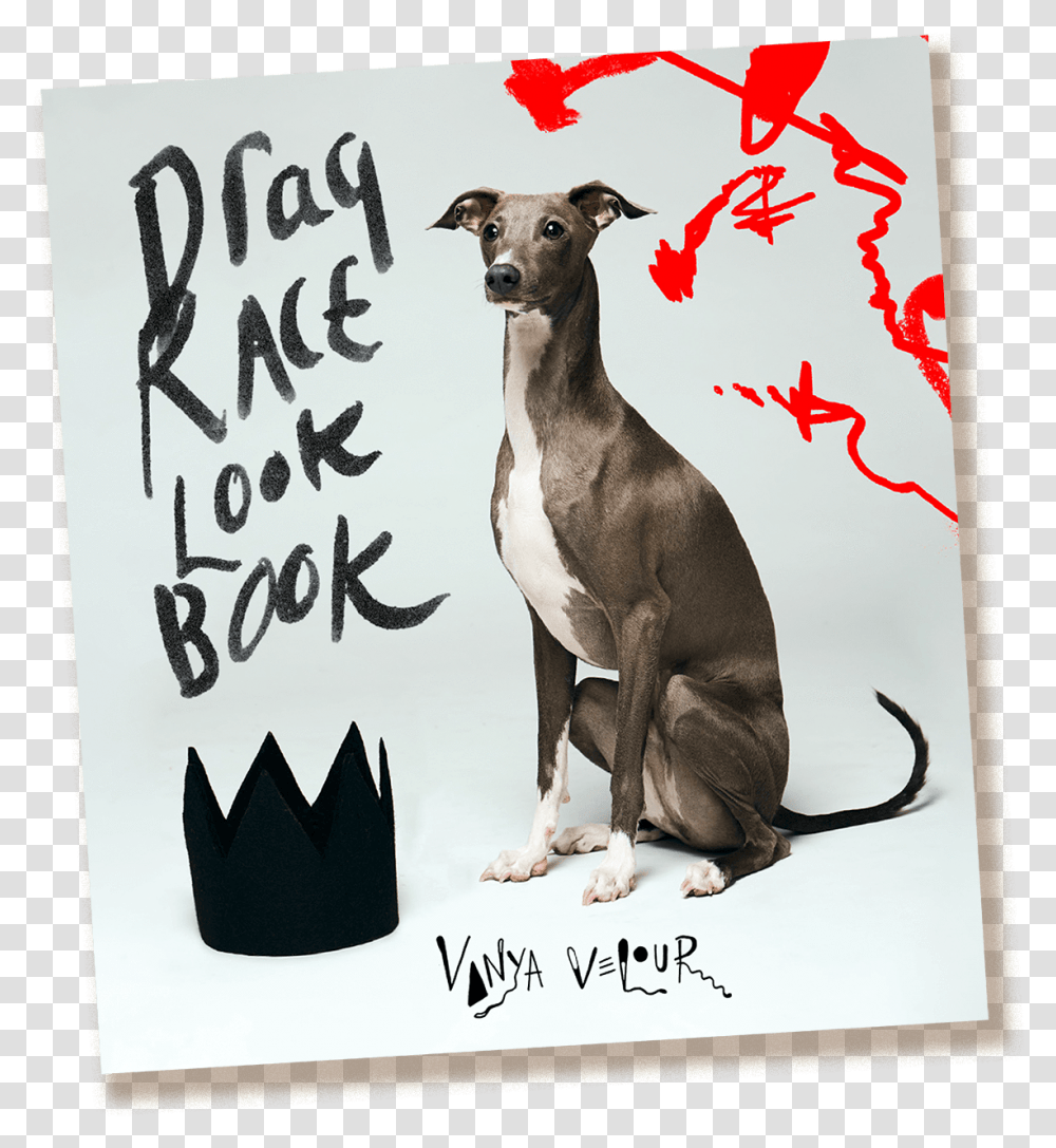 Vanya Velour S Drag Race Look Book Kangaroo, Dog, Pet, Canine Transparent Png