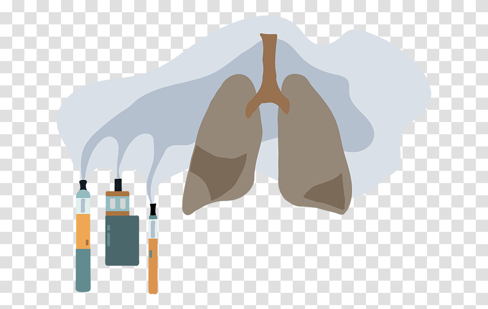 Vaping Causes Lung Disease Vaping Related Illnesses, Pillow, Cushion, Nature, Outdoors Transparent Png