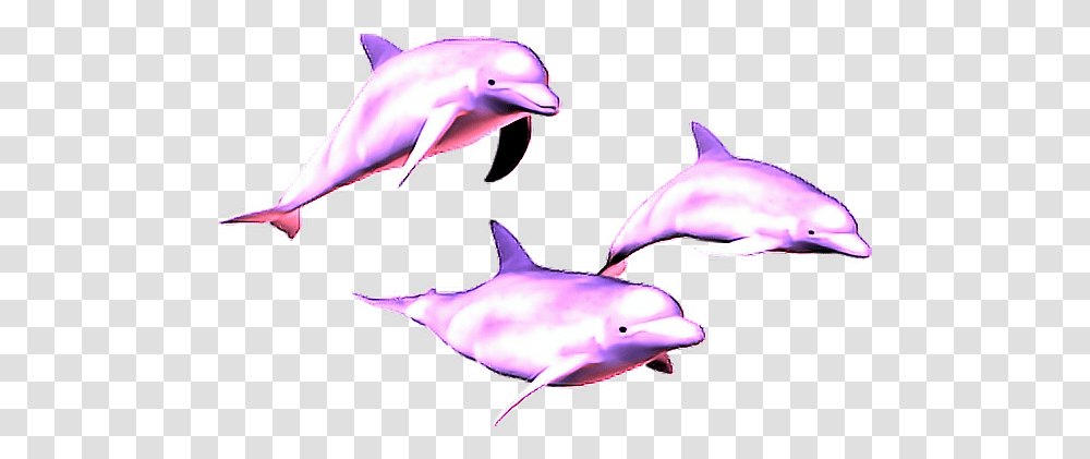 Vaporwave Dolphin Image Vaporwave Aesthetic Dolphin, Mammal, Sea Life, Animal, Bird Transparent Png