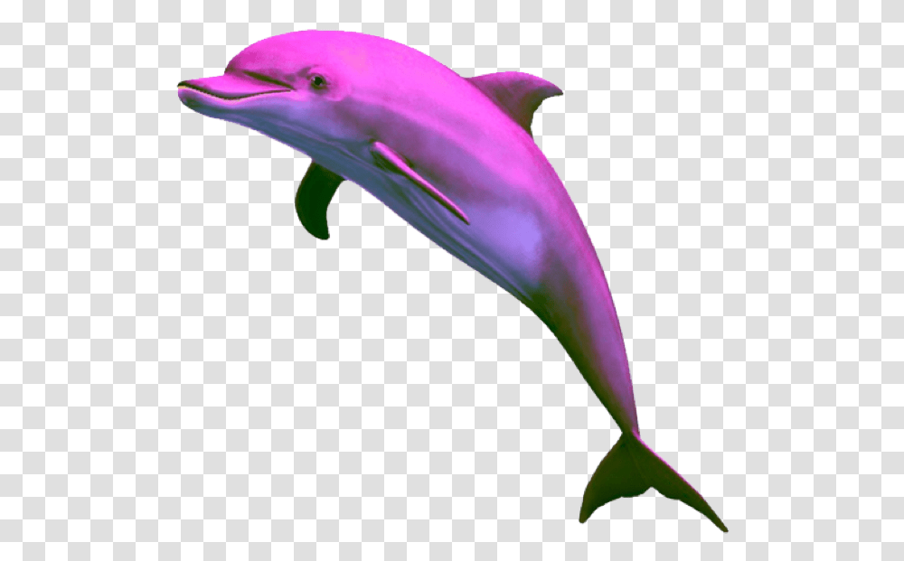 Vaporwave Dolphin Purple Aesthetic Dolphin, Bird, Animal, Sea Life Transparent Png